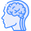 021-brain