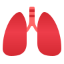 Respirology01